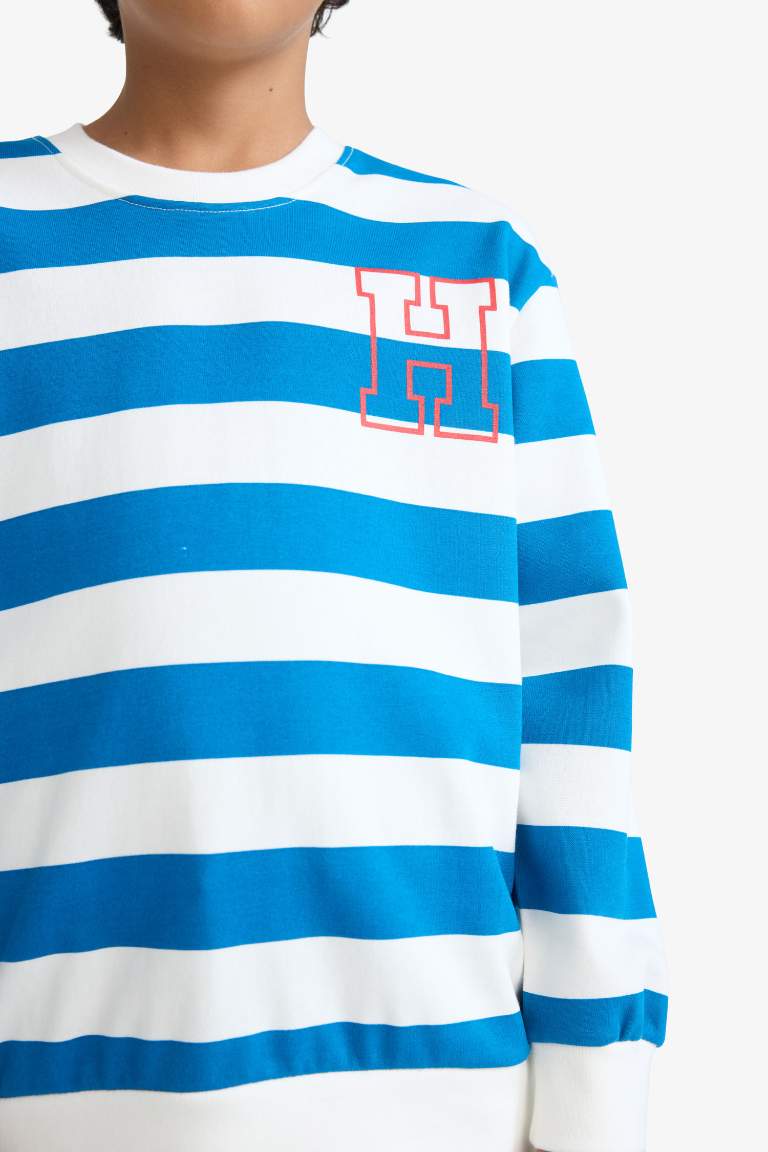 Boy Crew Neck Striped Sweatshirt