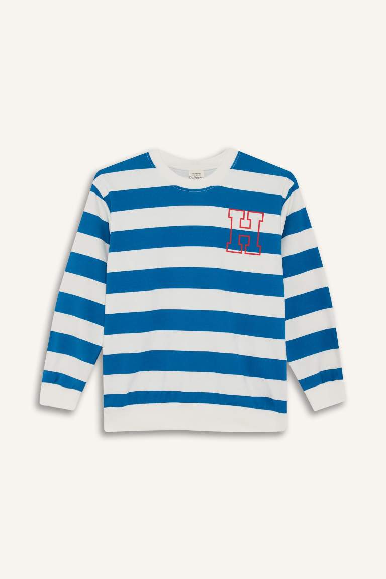 Boy Crew Neck Striped Sweatshirt