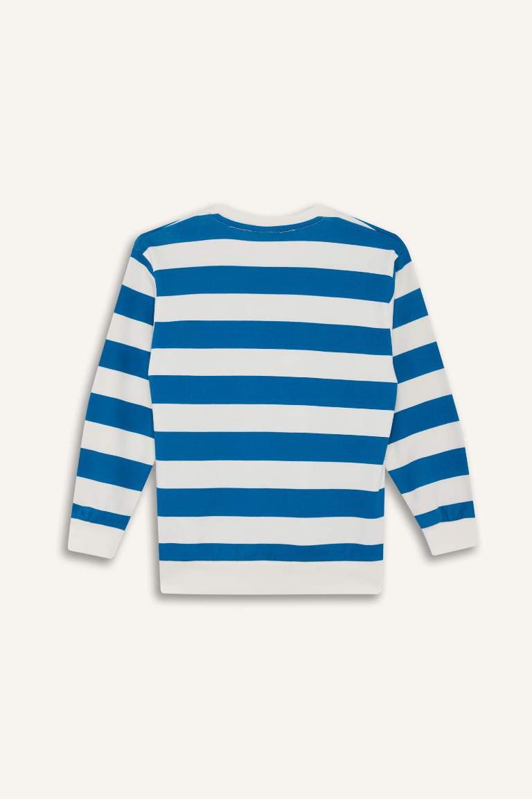 Boy Crew Neck Striped Sweatshirt