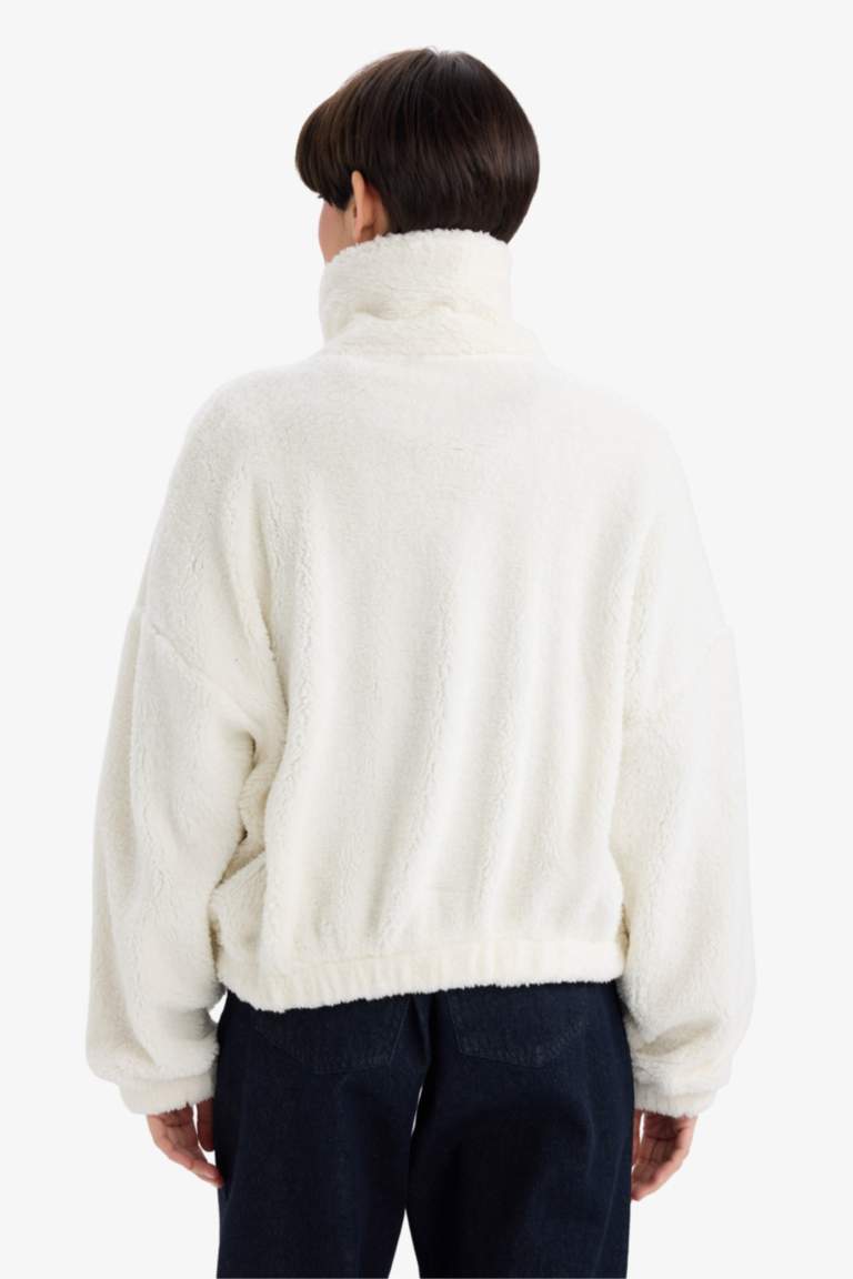 Oversize Fit Polo Neck Welsoft Plush Sweatshirt