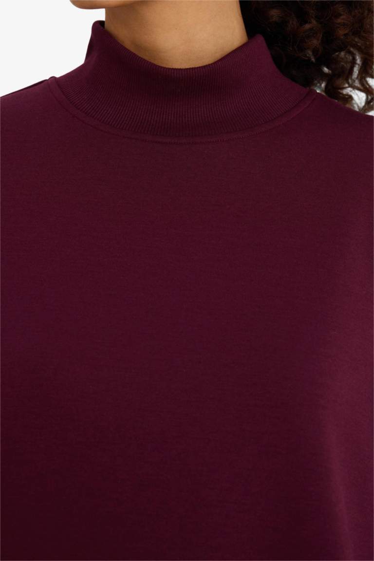 Sweatshirt à col montant Coupe décontractée