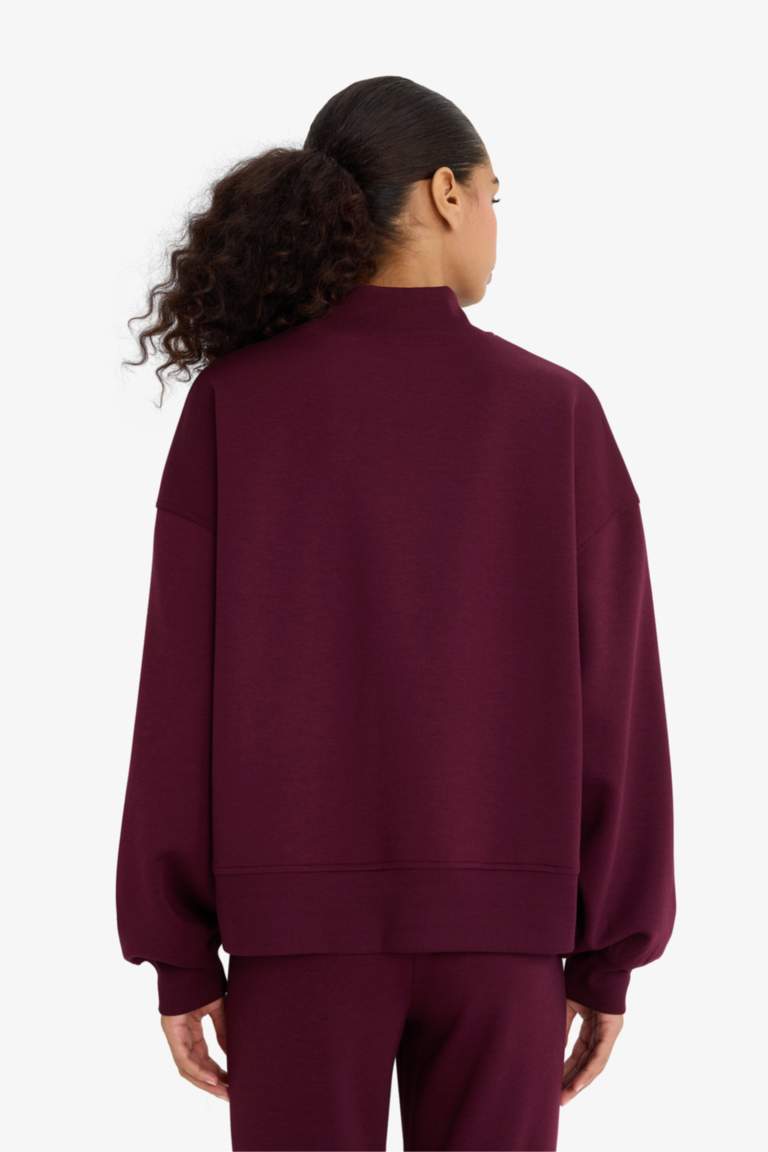 Sweatshirt à col montant Coupe décontractée