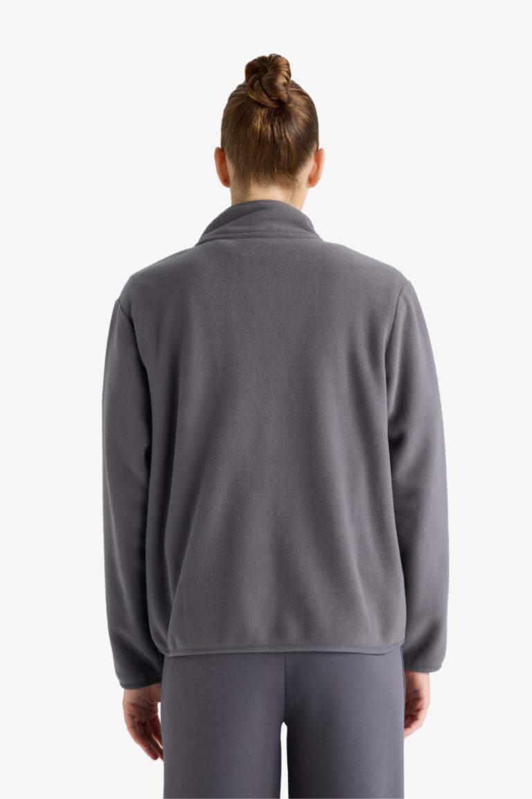 Veste polaire à col montant Coupe régulière