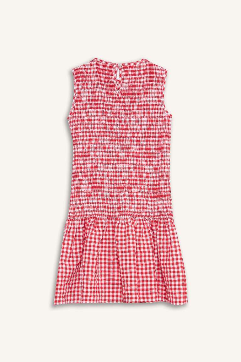 Girl Crew Neck Checkered Sleeveless Dress
