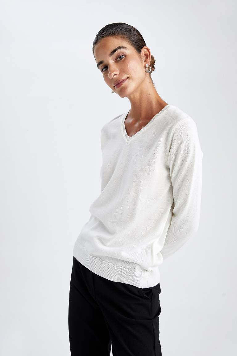 Regular Fit V-Neck Pullover