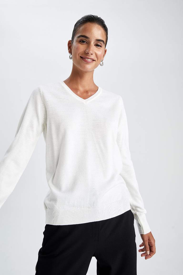 Regular Fit V-Neck Pullover