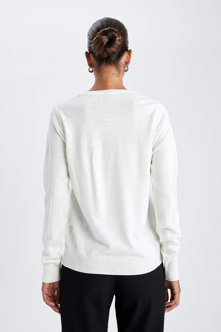 Regular Fit V-Neck Pullover