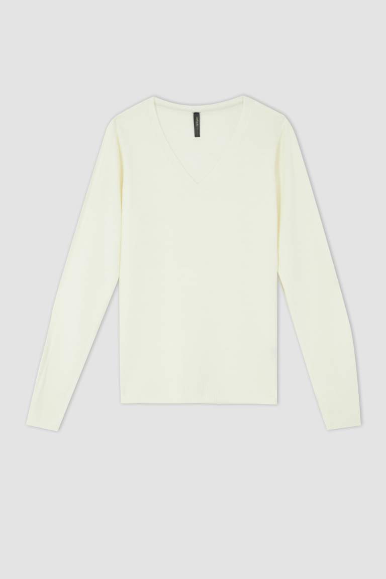 Regular Fit V-Neck Pullover