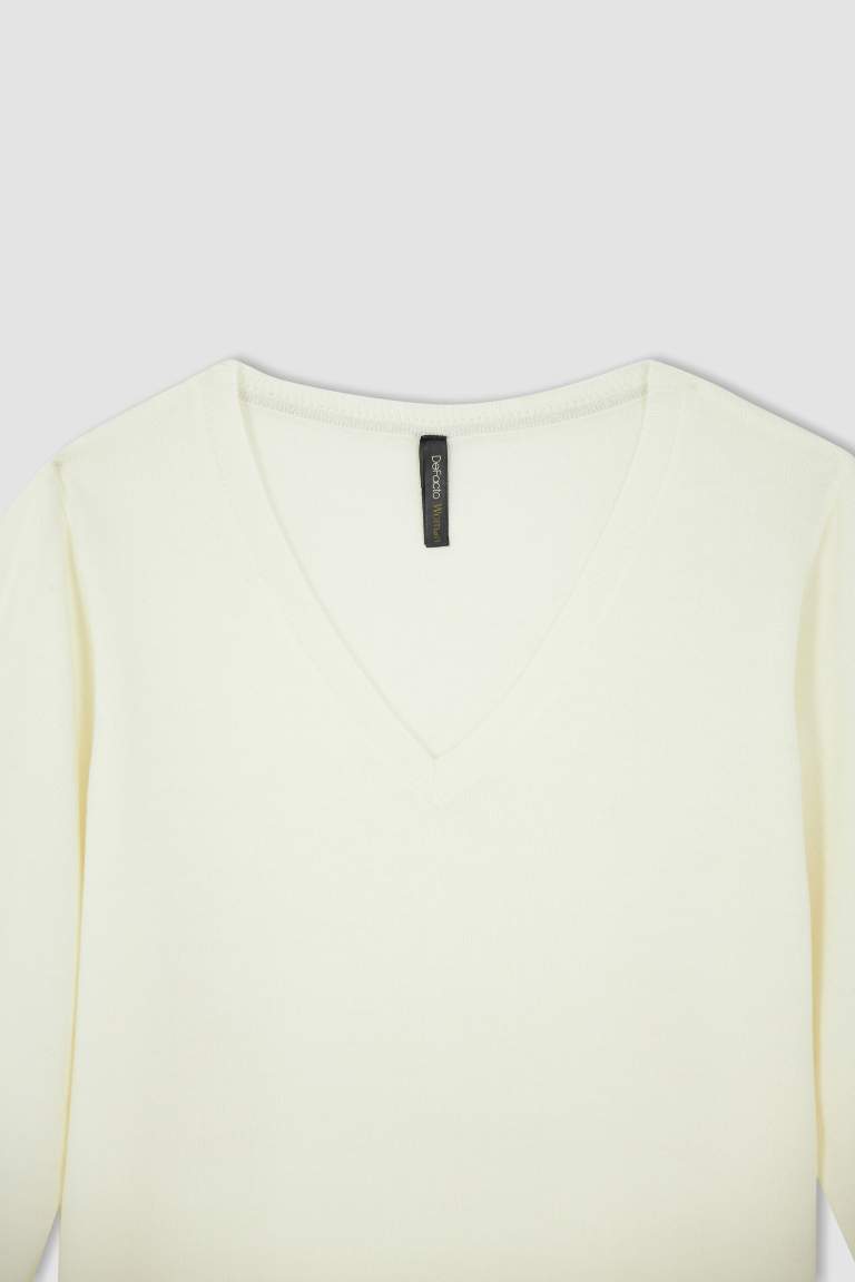 Regular Fit V-Neck Pullover