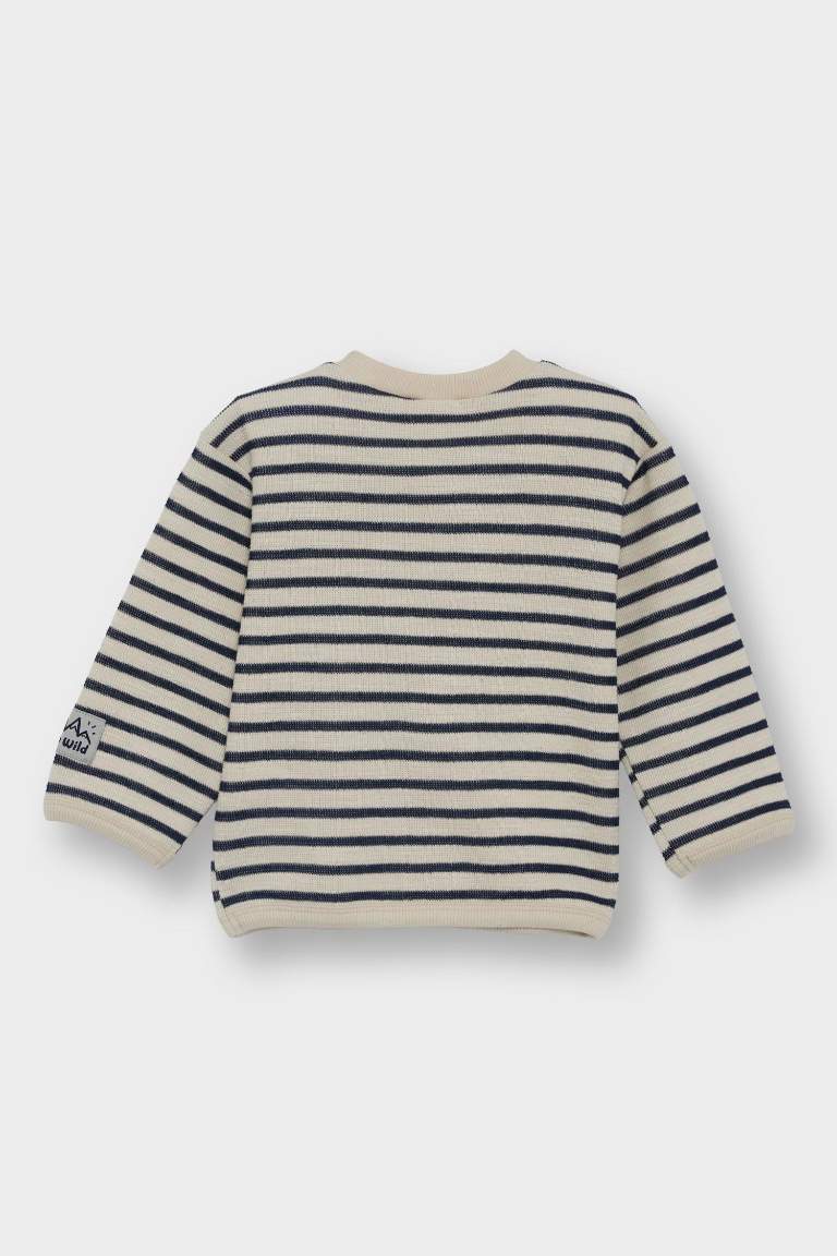 Regular Fit Striped Crew Neck Sweatshirt