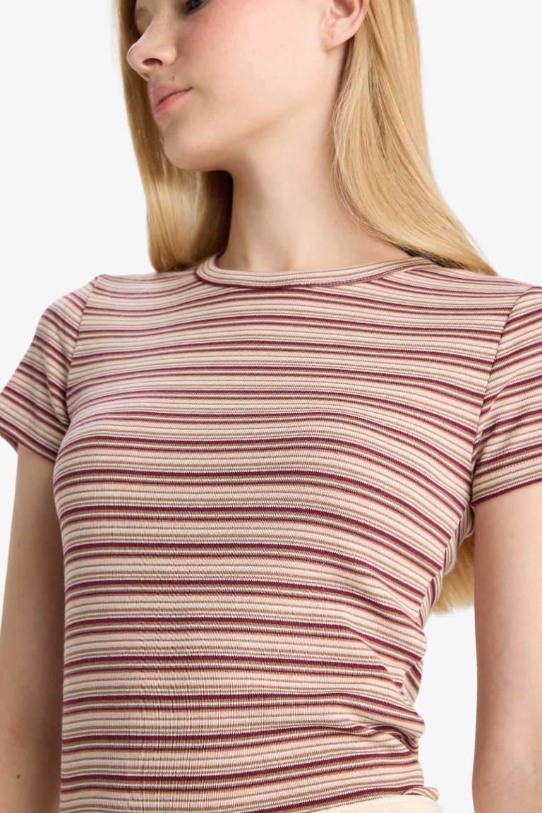 Coool Fitted Bisiklet Yaka Ribana Çizgili Kısa Kollu Tişört