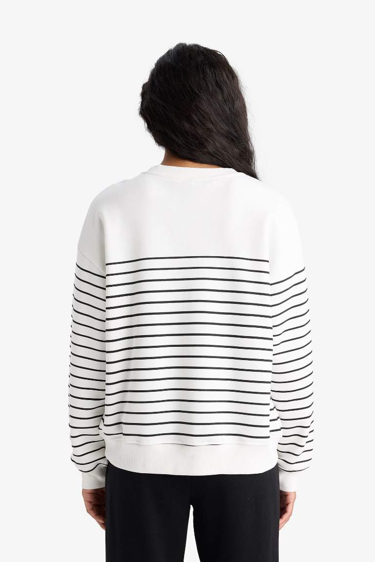 Relax Fit Striped Long Sleeve Sweatshirt