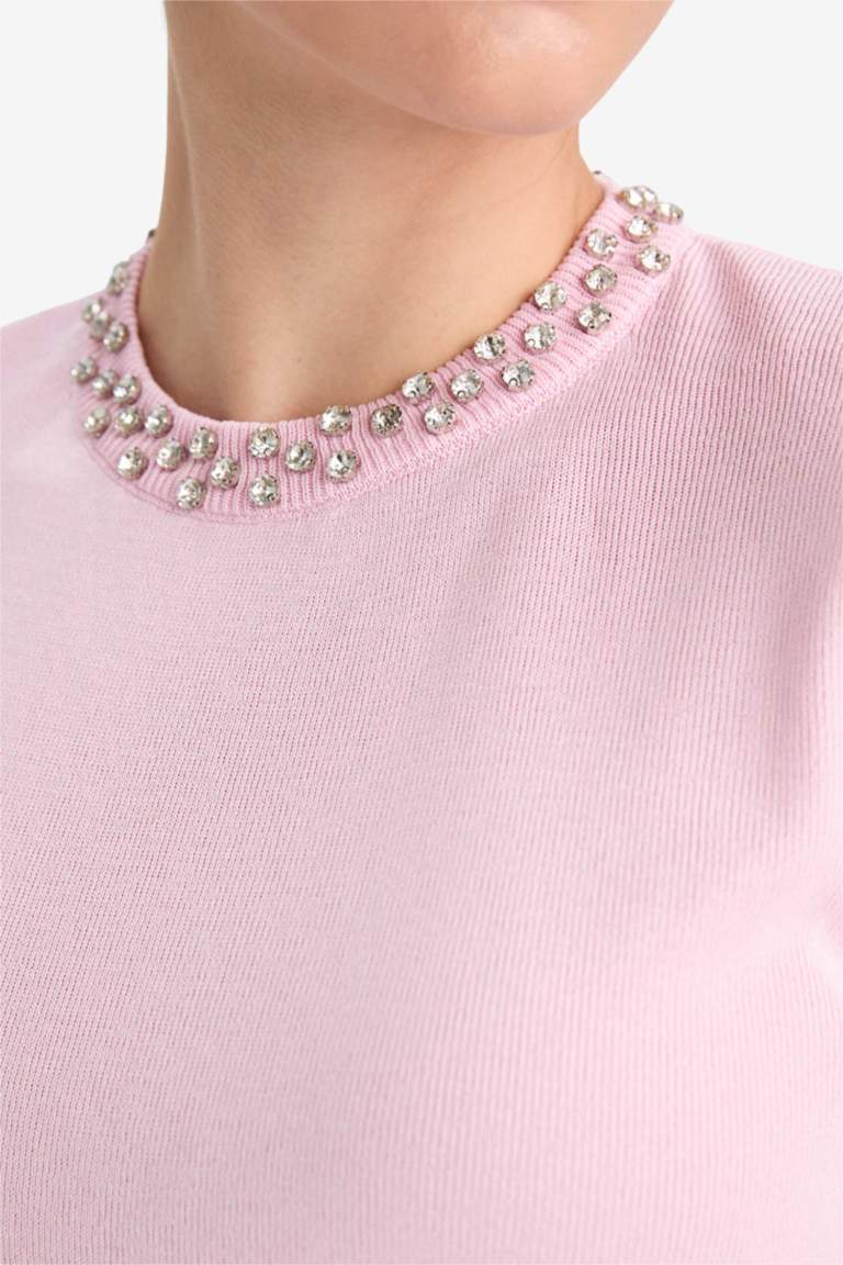 Regular Fit Crew Neck Embroidered Knitwear Pullover