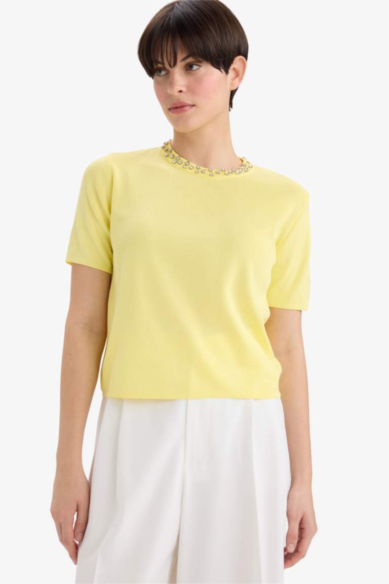 Regular Fit Crew Neck Embroidered Knitwear Pullover