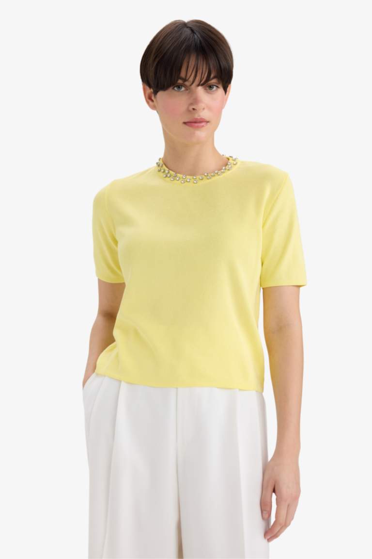 Regular Fit Crew Neck Embroidered Knitwear Pullover