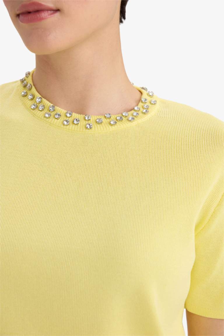 Regular Fit Crew Neck Embroidered Knitwear Pullover