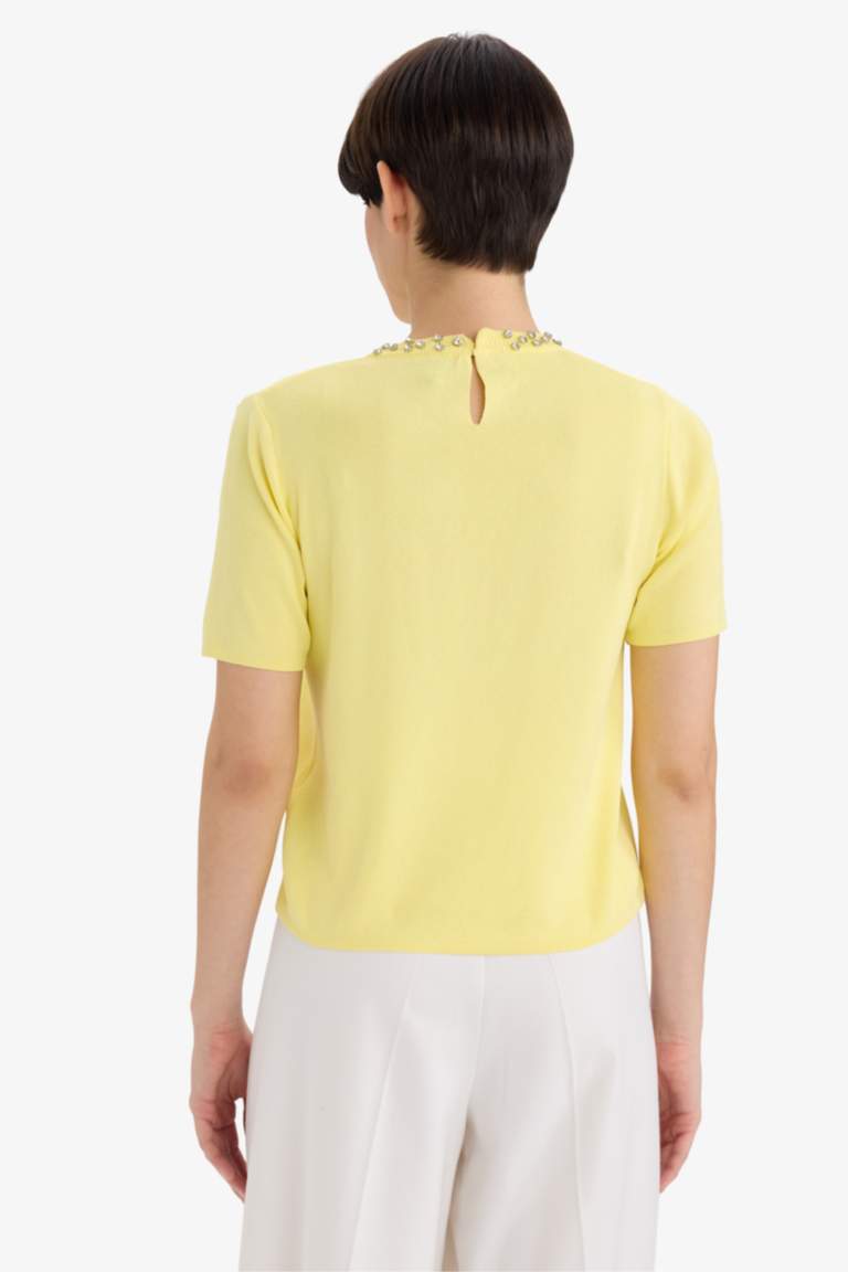 Regular Fit Crew Neck Embroidered Knitwear Pullover