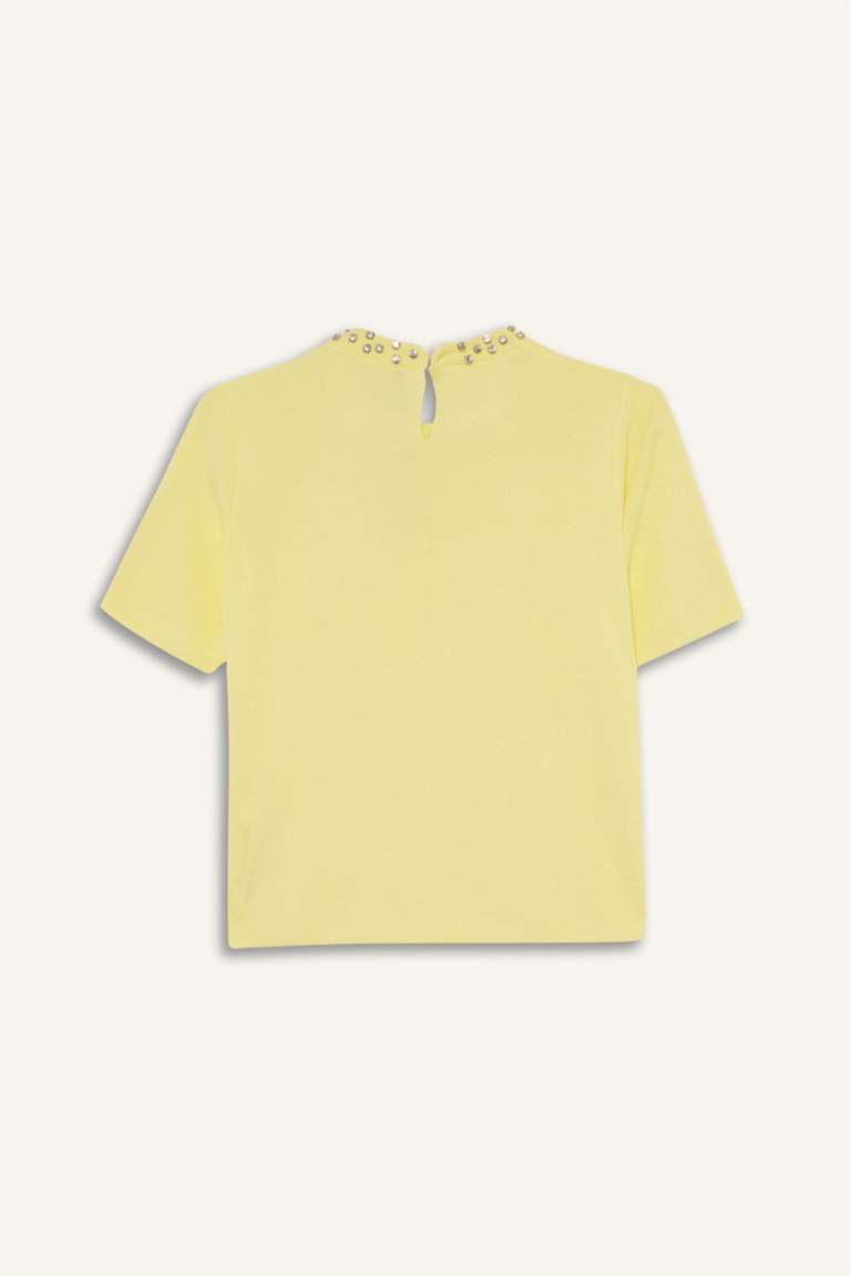 Regular Fit Crew Neck Embroidered Knitwear Pullover