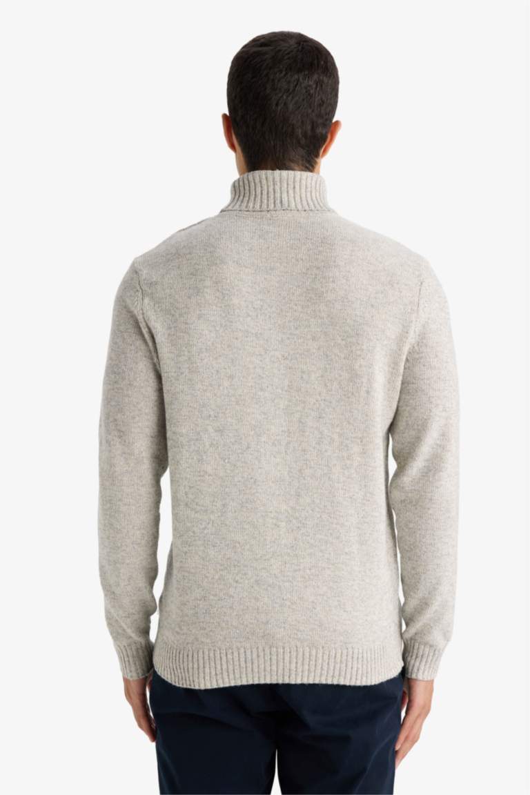 Standard Fit Turtleneck Knitwear Pullover