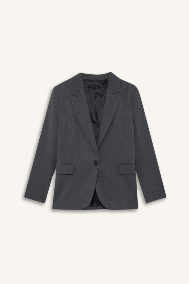 Regular Fit Jacket Collar Blazer