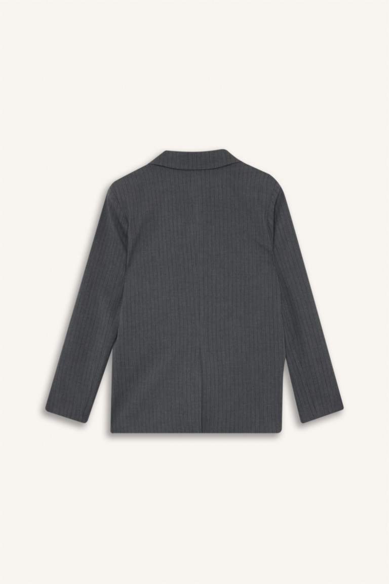 Regular Fit Jacket Collar Blazer