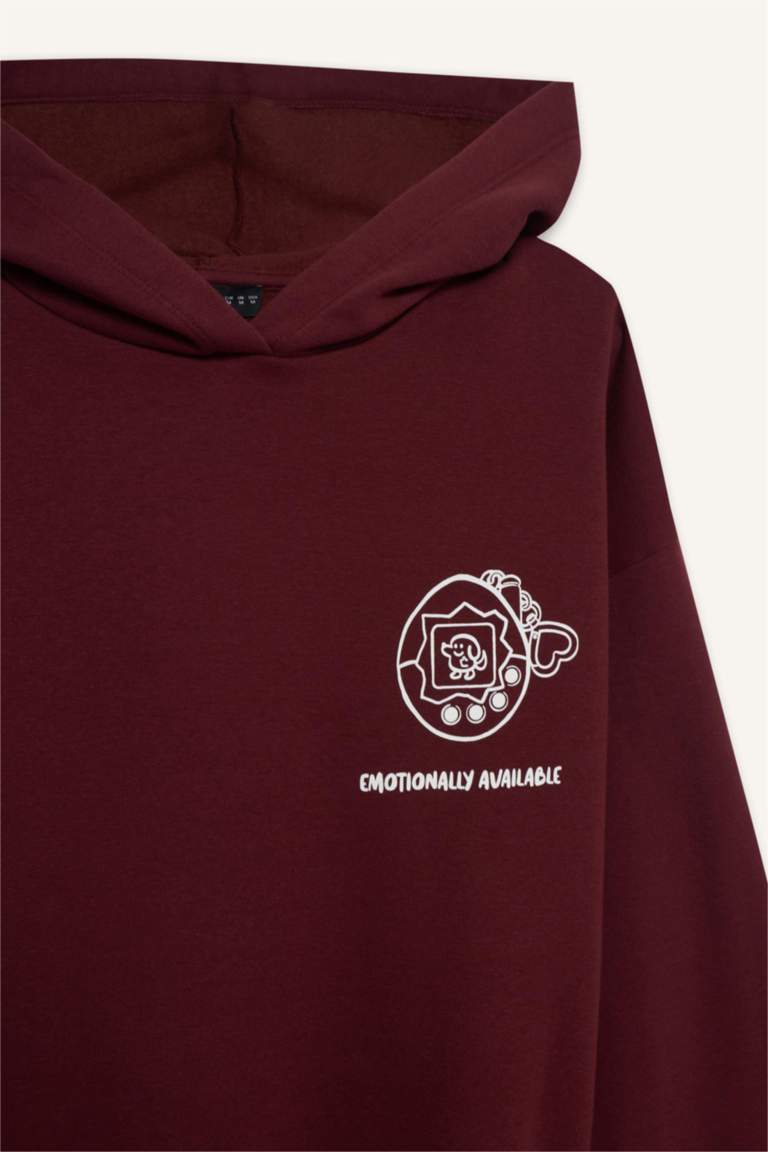 Sweat à capuche épais imprimé Coupe oversize