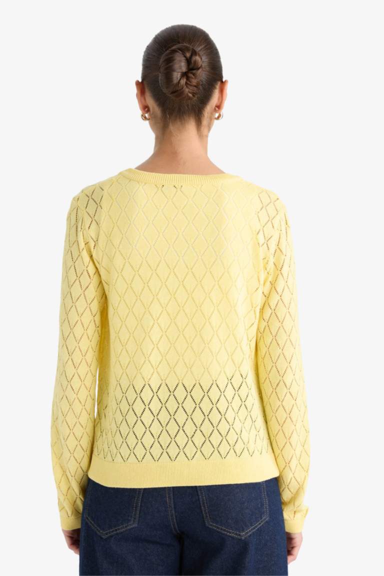 Regular Fit Crew Neck Openwork Knit Cardigan