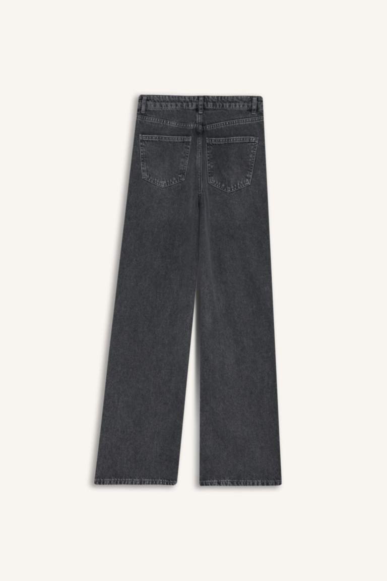 Embroidered Denim Trousers