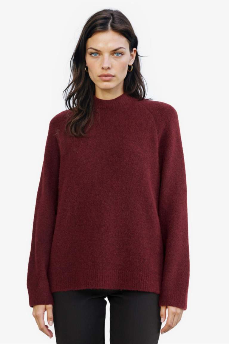 Regular Fit Crew Neck Knit pullover