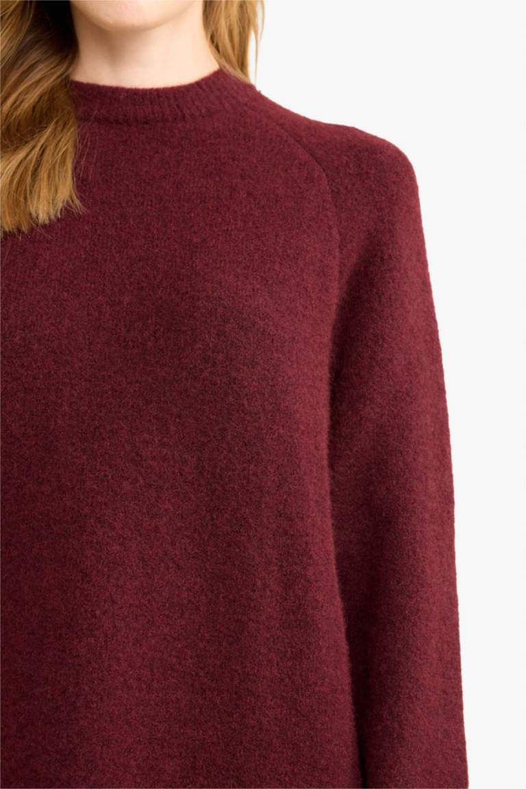 Regular Fit Crew Neck Knit pullover