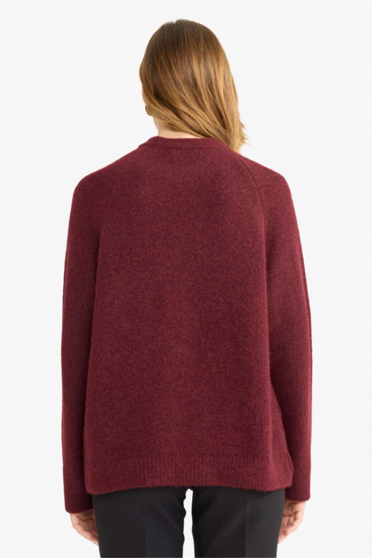 Regular Fit Crew Neck Knit pullover