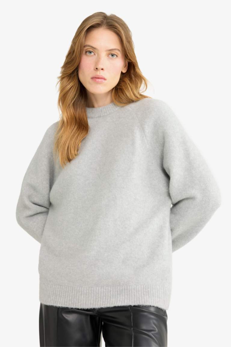 Regular Fit Crew Neck Knit pullover
