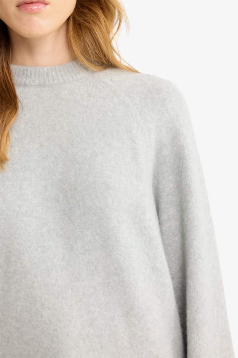 Regular Fit Crew Neck Knit pullover