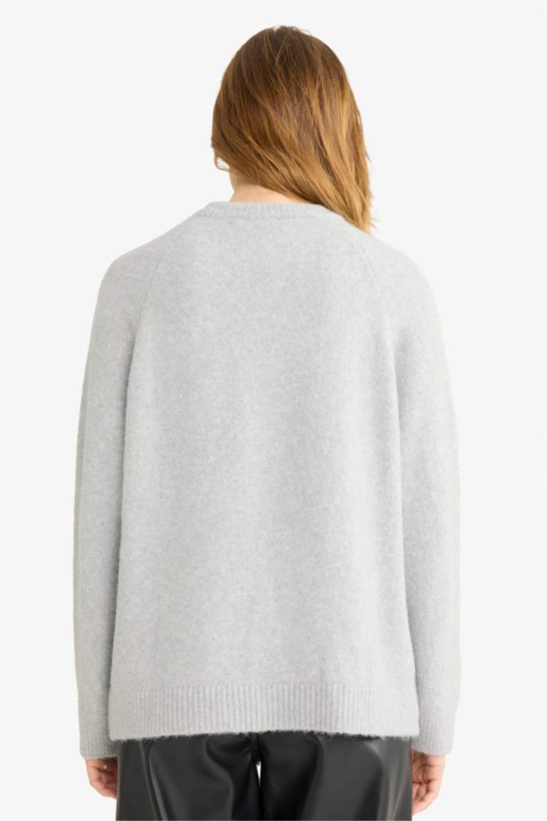 Regular Fit Crew Neck Knit pullover