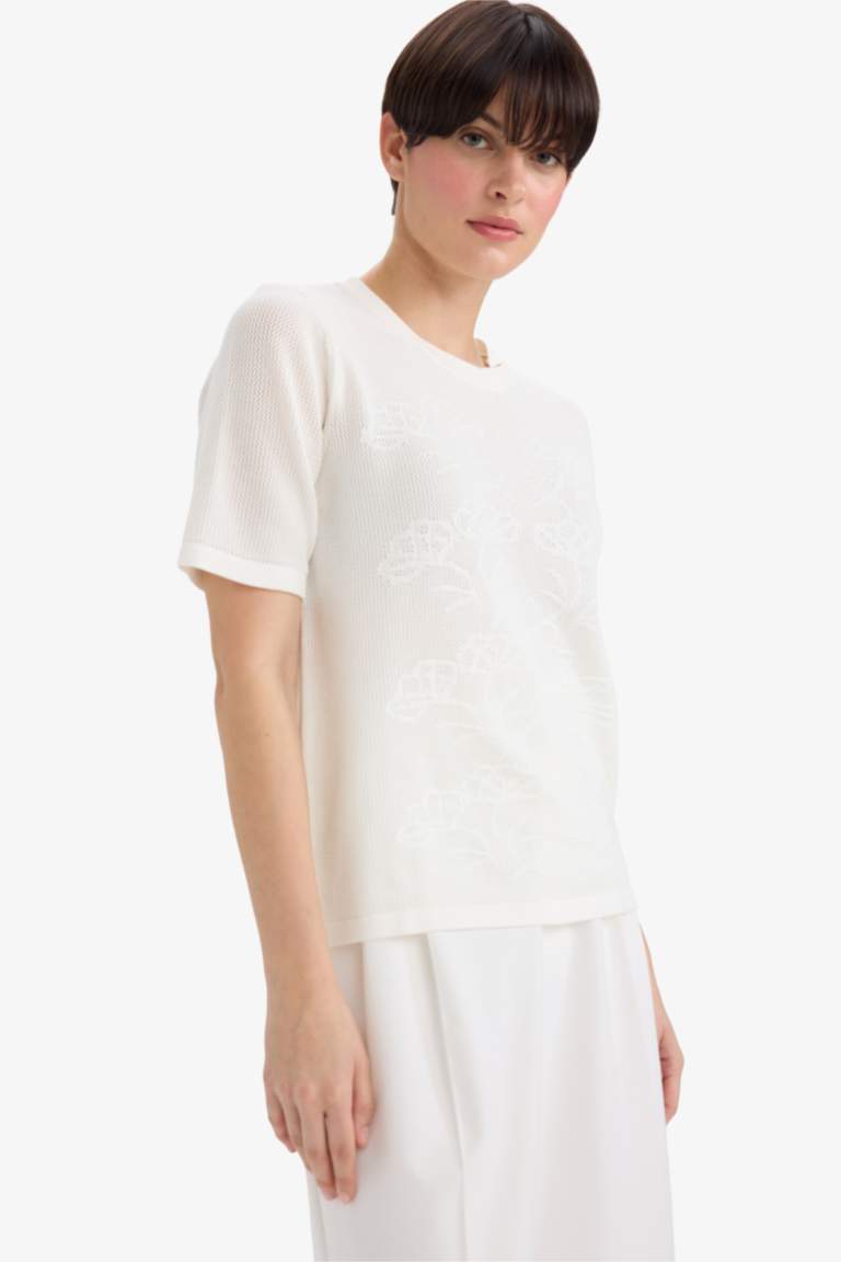 Regular Fit Crew Neck Knitwear Pullover