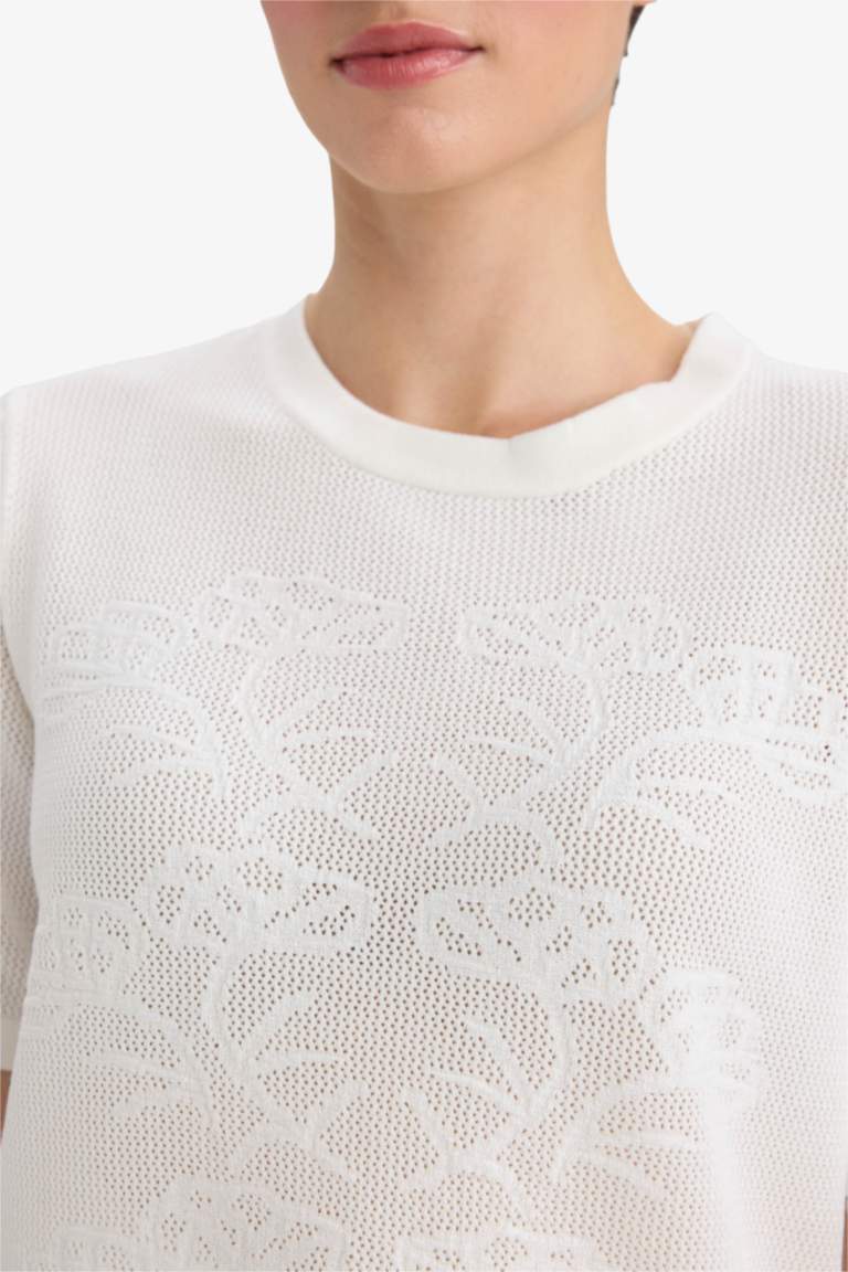 Regular Fit Crew Neck Knitwear Pullover