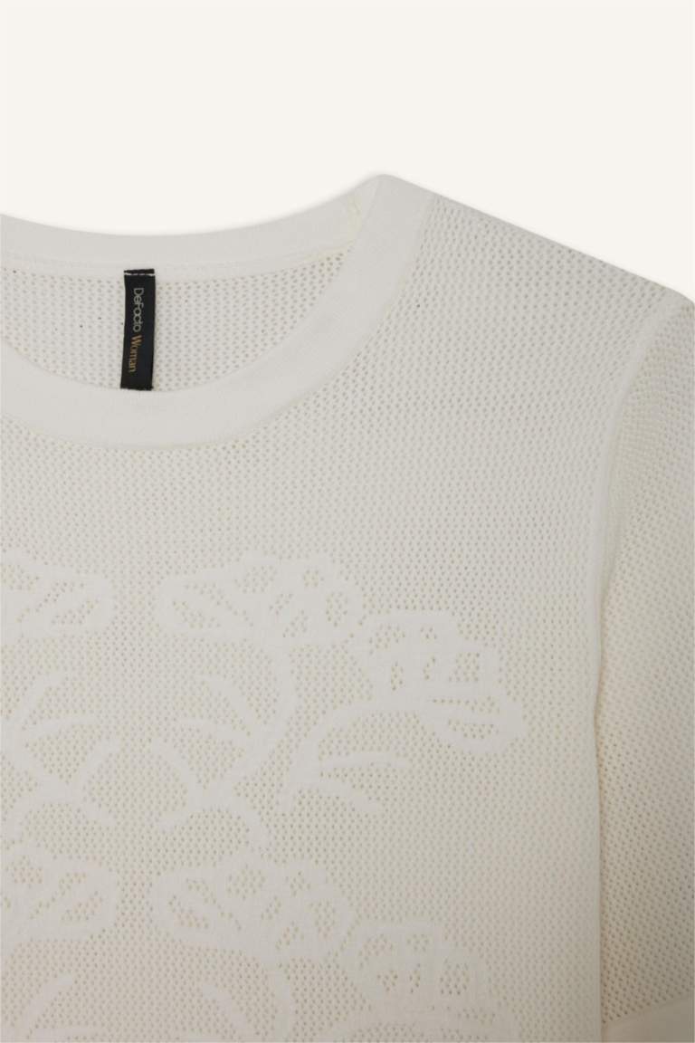 Regular Fit Crew Neck Knitwear Pullover