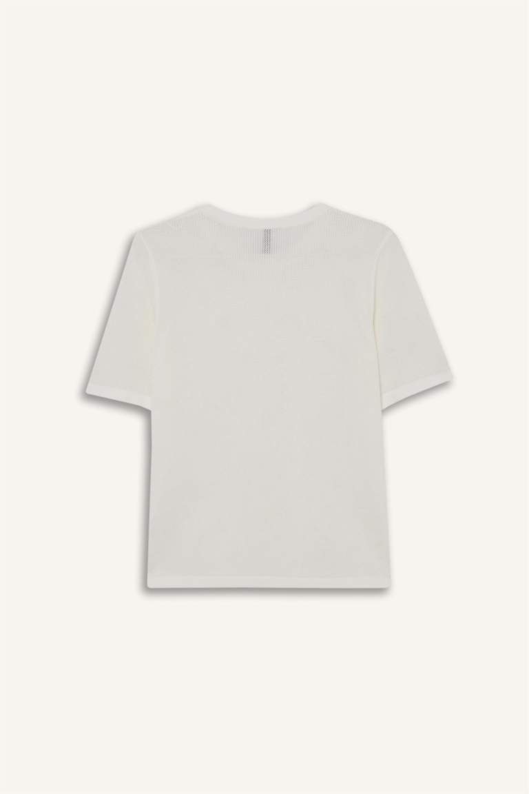 Regular Fit Crew Neck Knitwear Pullover