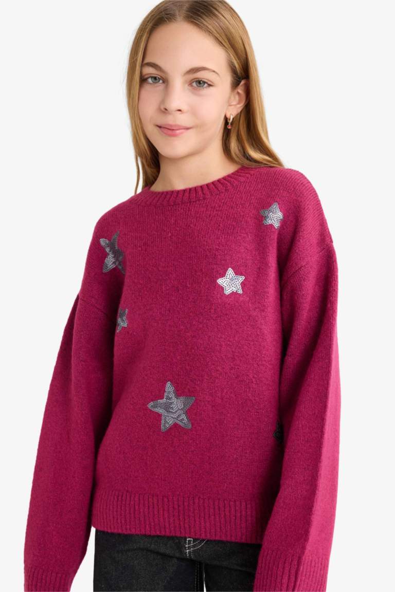 Girl Regular Fit Embroidered Crew Neck Pullover