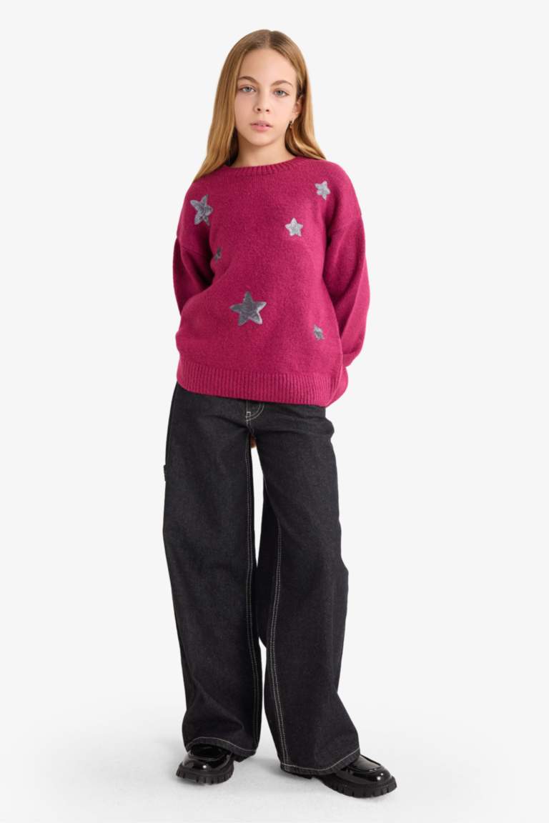 Girl Regular Fit Embroidered Crew Neck Pullover