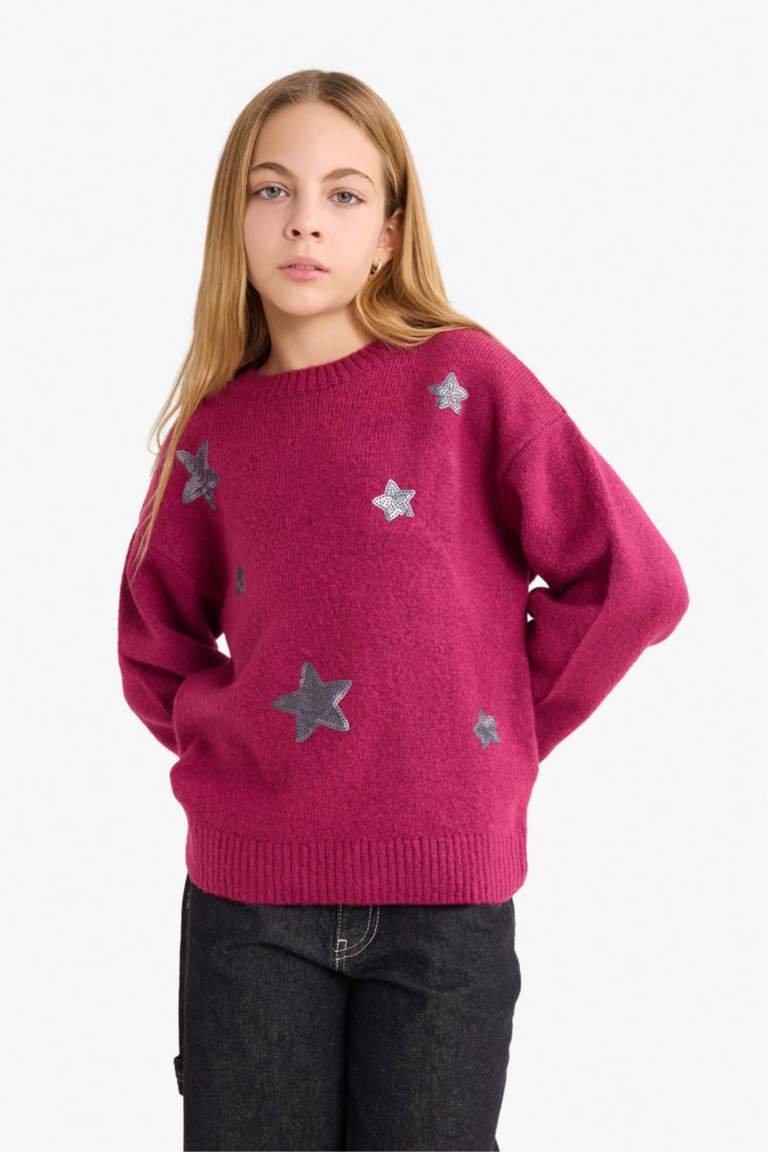 Girl Regular Fit Embroidered Crew Neck Pullover