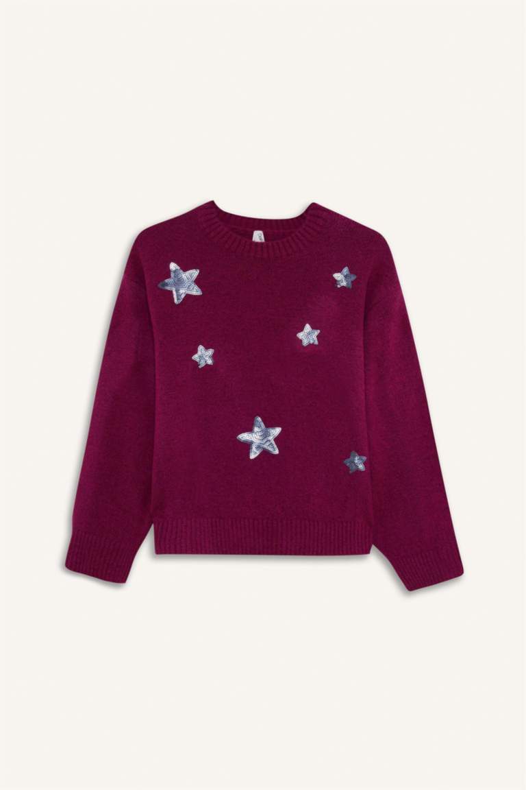Girl Regular Fit Embroidered Crew Neck Pullover