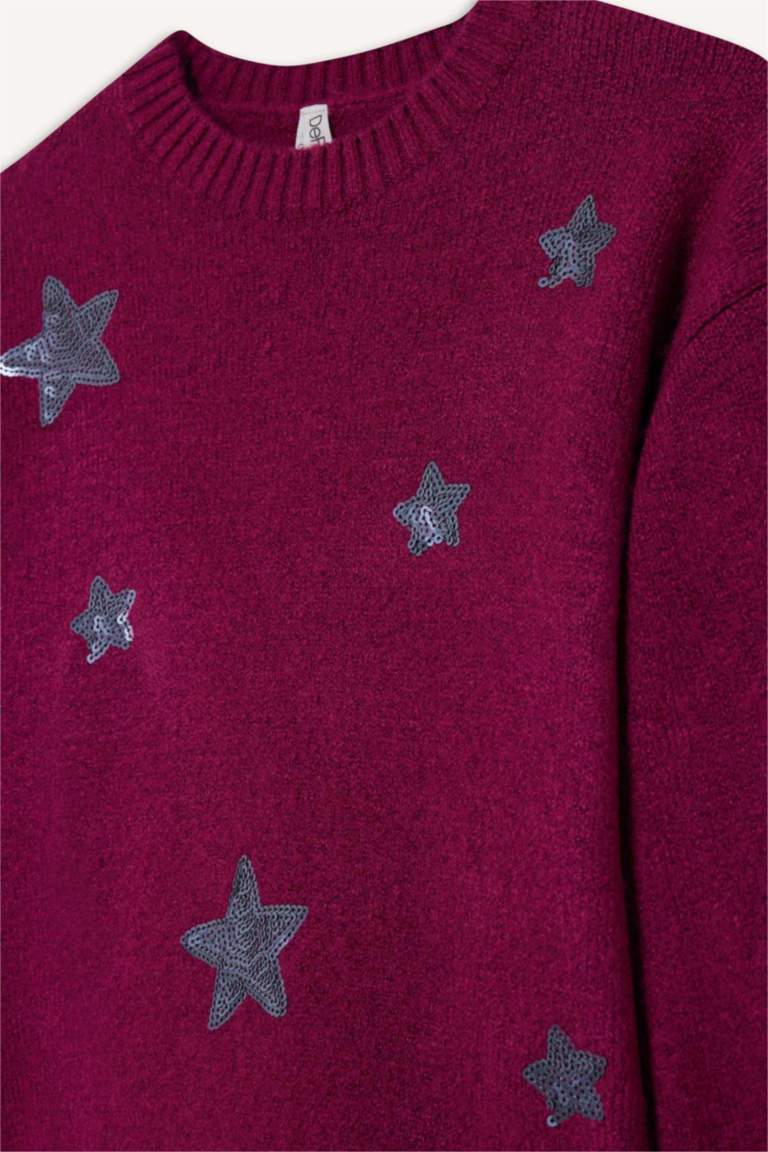 Girl Regular Fit Embroidered Crew Neck Pullover
