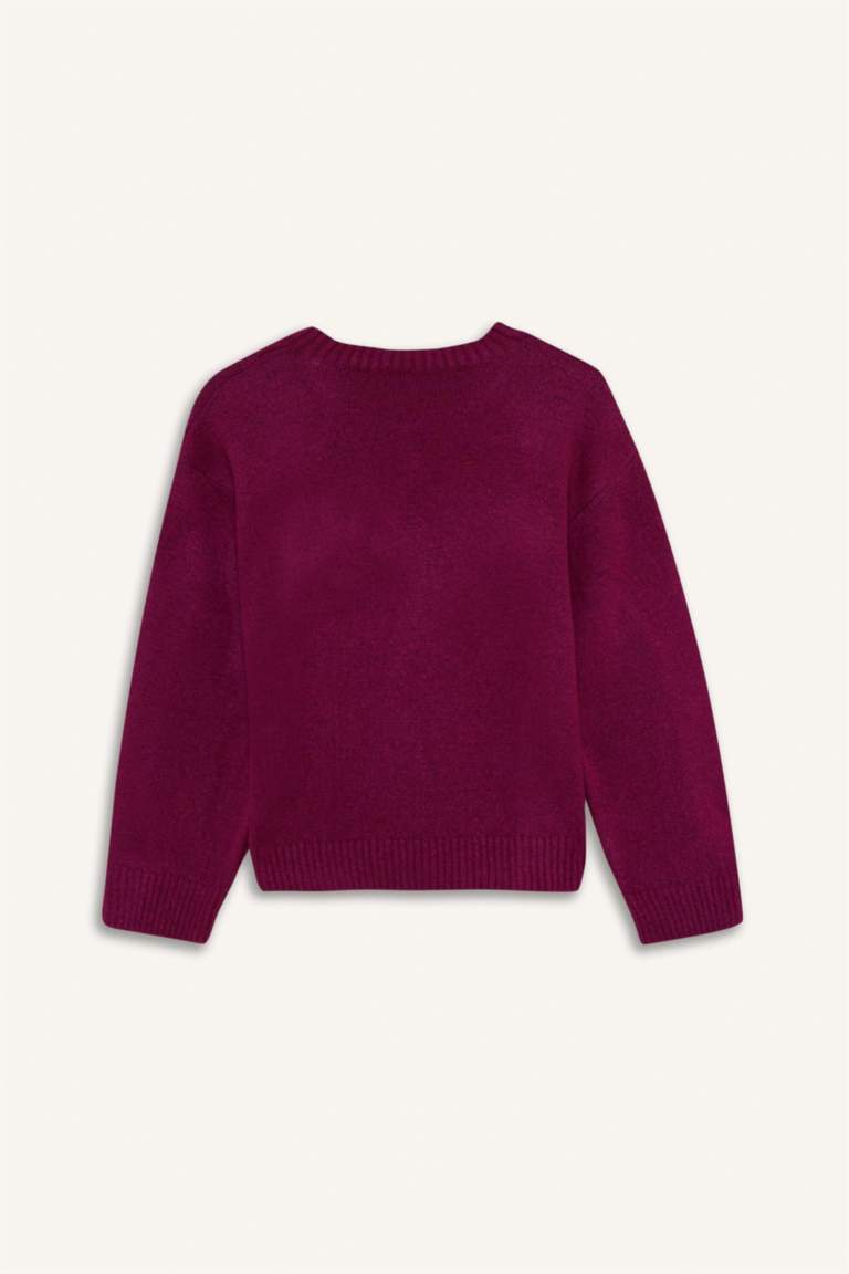 Girl Regular Fit Embroidered Crew Neck Pullover