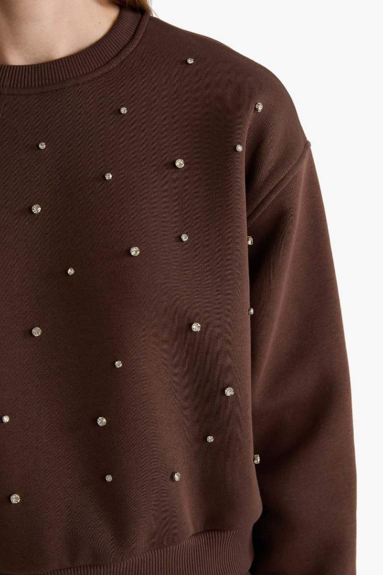 Boxy Fit Embroidered Long Sleeve Sweatshirt