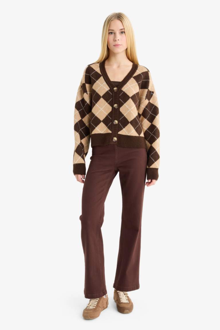 Regular Fit V Yaka Baklava Desenli Düğmeli Hırka