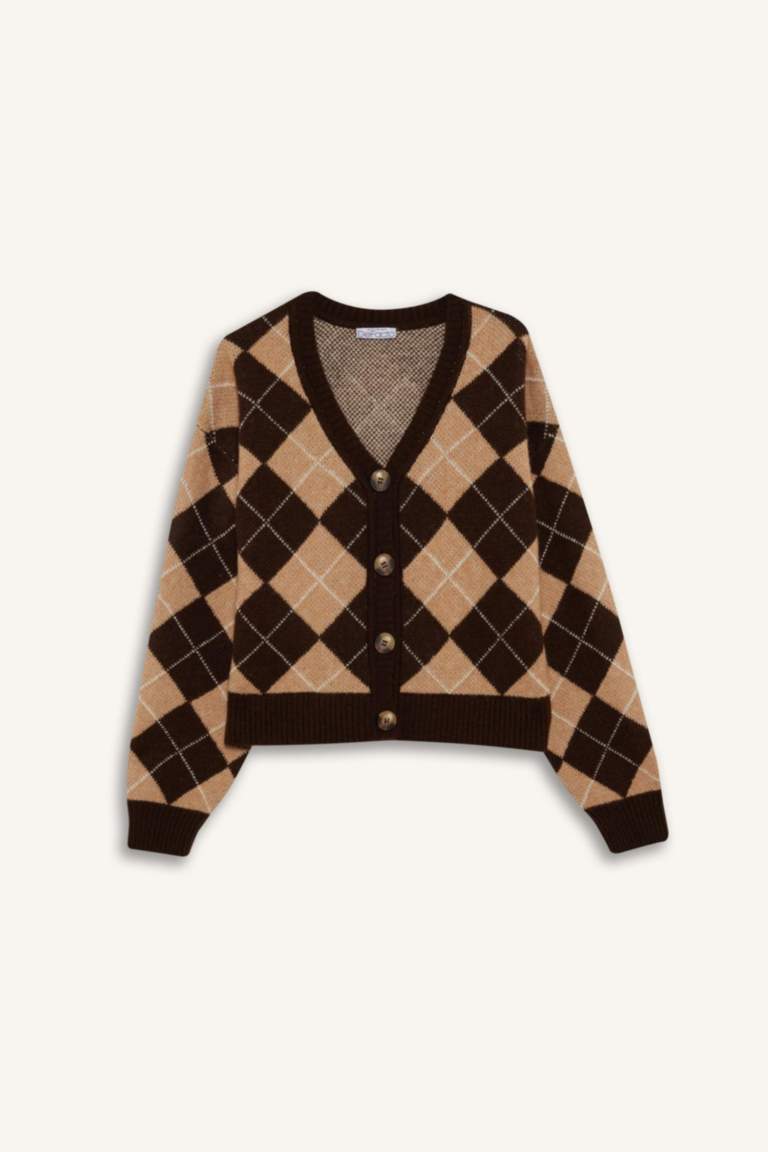 Regular Fit V Yaka Baklava Desenli Düğmeli Hırka