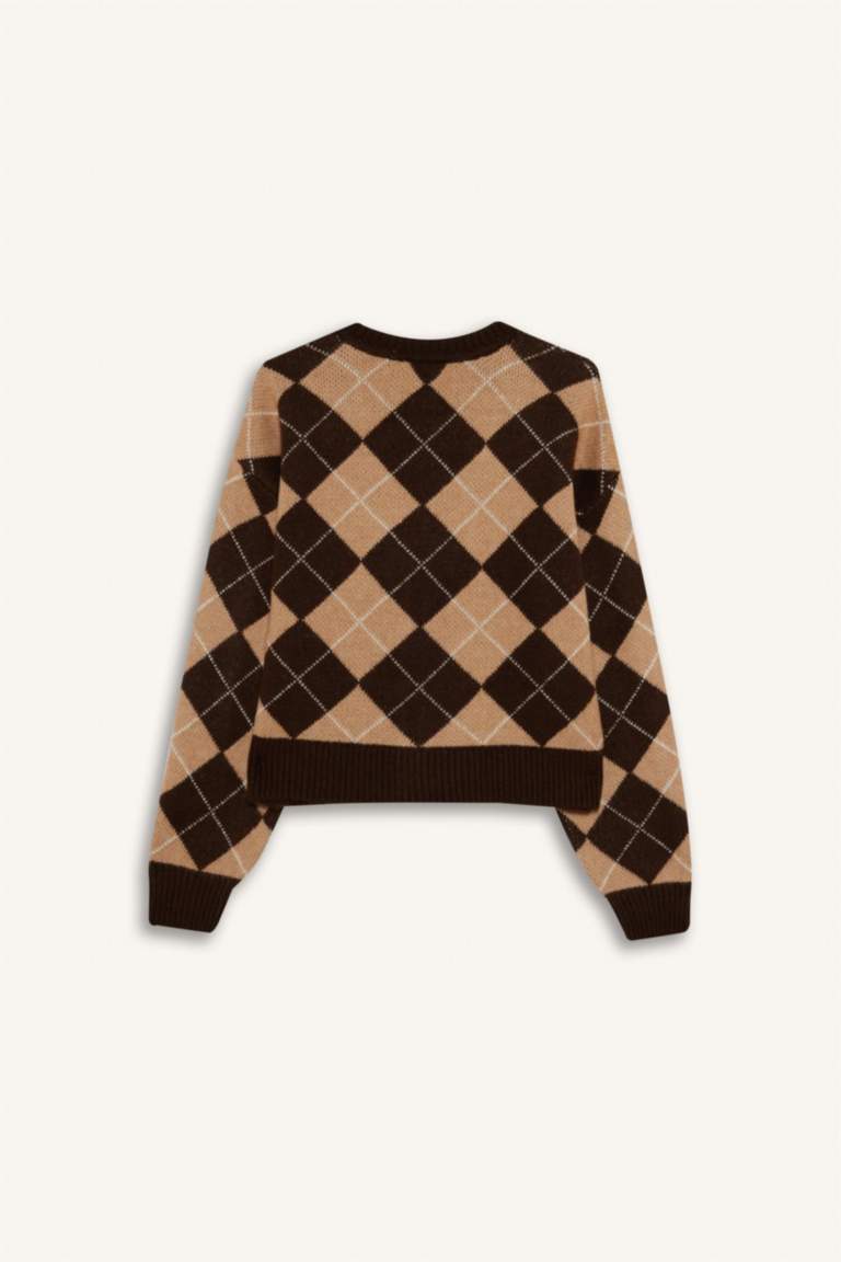 Regular Fit V Yaka Baklava Desenli Düğmeli Hırka