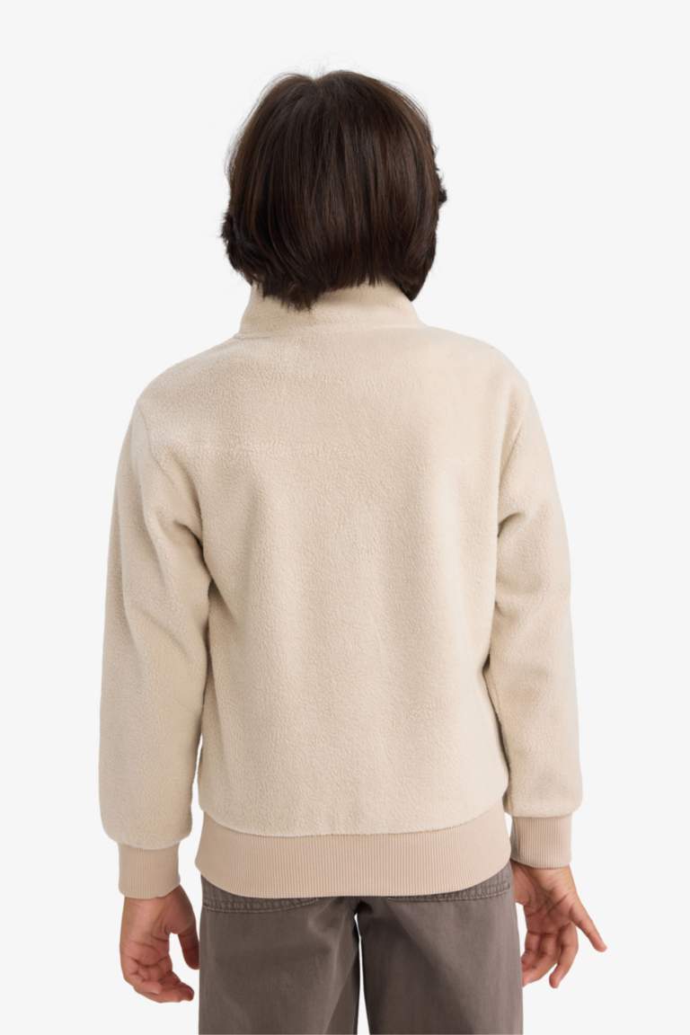 Erkek Çocuk Yarım Fermuarlı Baskılı Polar Sweatshirt