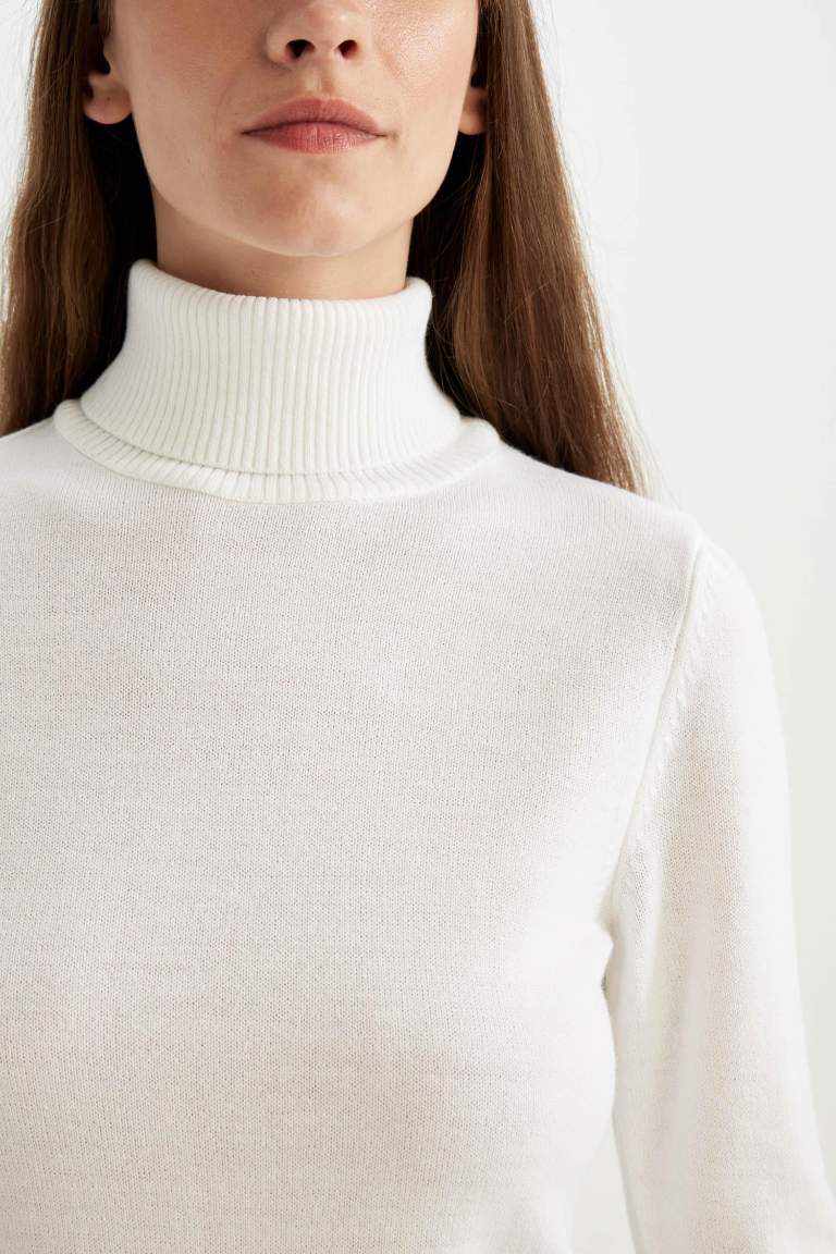 Regular Fit Turtleneck Basic Pulover